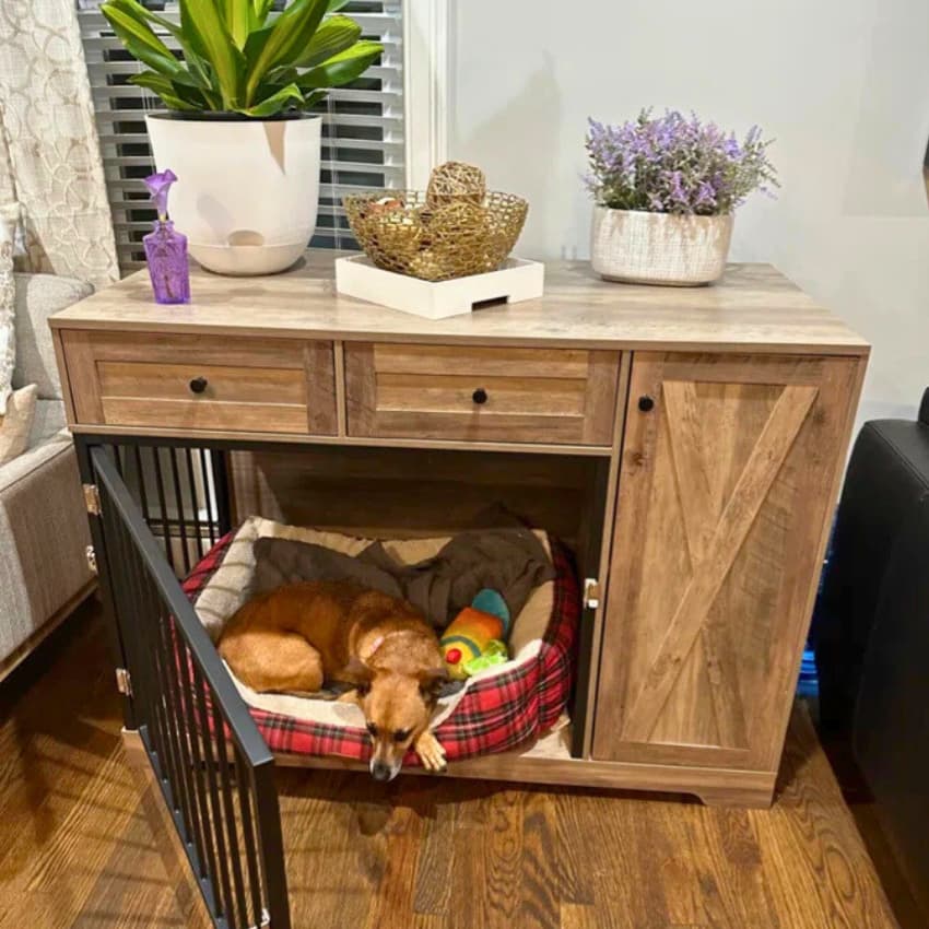 How to Transition Your Dog Into a Furniture-Style Crate