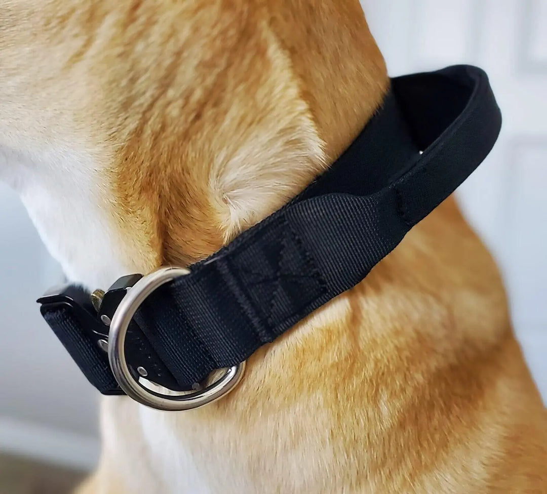 Multi Color Collar With Control Handle OnePaw Dog Company