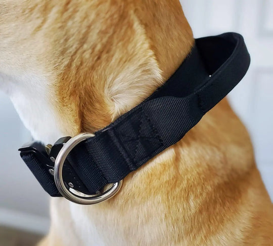 Multi Color Collar With Control Handle OnePaw Dog Company