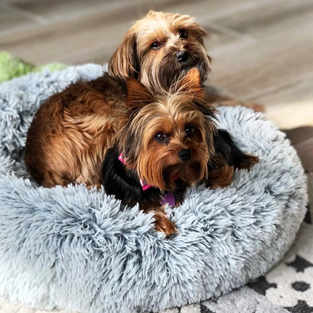 Calming Donut Bed With Removable Cover One Paw Dog Company