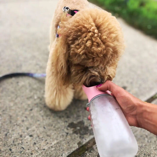 Portable 3-1 Dog Water Bottle Dog water bottle BonaceBoutique