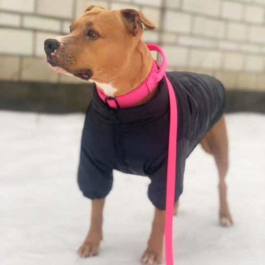 Multi Color Collar With Control Handle OnePaw Dog Company