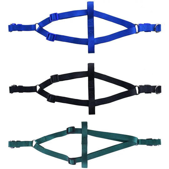 Nylon Pet Dog Harness No Pull Adjustable Dog Leash Vest Classic Running Leash Strap Belt for Small and Medium Dogs OnePaw Dog Company