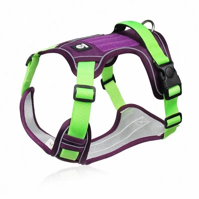 EXPLORER™ No-Pull Harness OnePaw Dog Company Green L