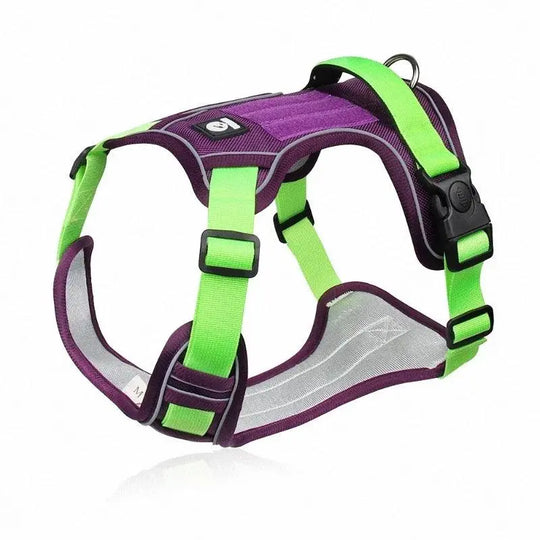 EXPLORER™ No-Pull Harness OnePaw Dog Company Green L