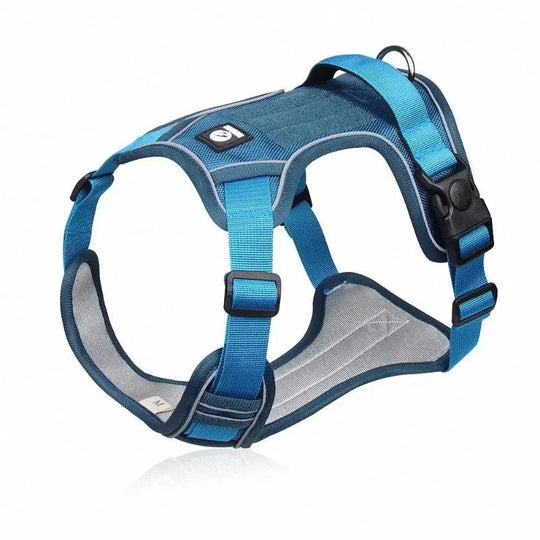 EXPLORER™ No-Pull Harness OnePaw Dog Company Blue L