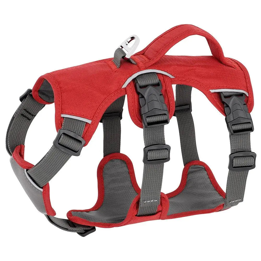 Reflective Nylon No Pull Harness OnePaw Dog Company Red S