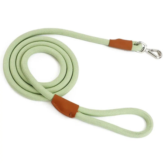 Strong Nylon Rope Leash OnePaw Dog Company Light Green 2.1M / 7'