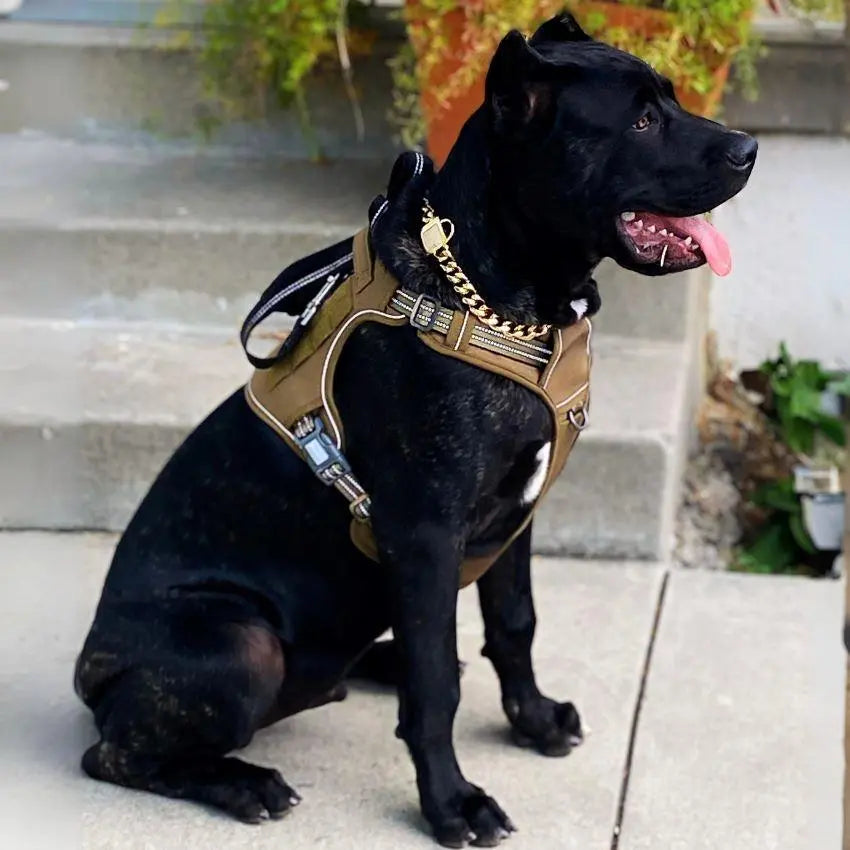 COMMANDER™ No-Pull Harness One Paw Dog Company