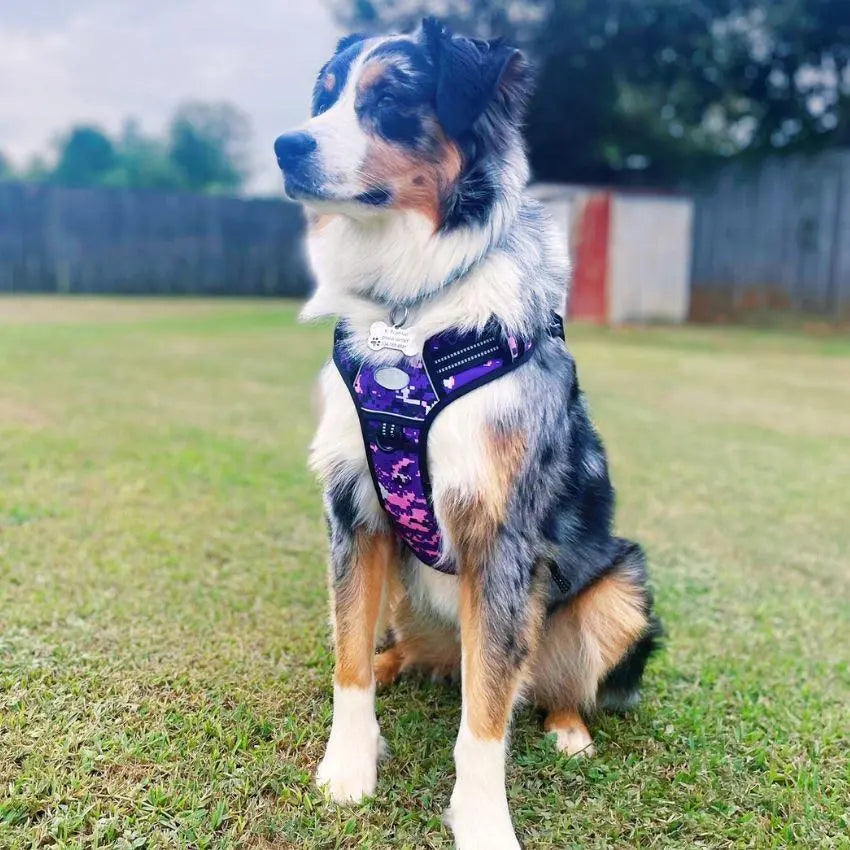 COMMANDER™ No-Pull Harness One Paw Dog Company