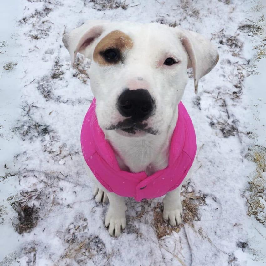 ALPINE™ Fleece Winter Jacket