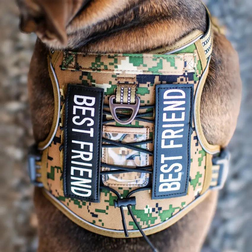 COMMANDER™ No-Pull Harness