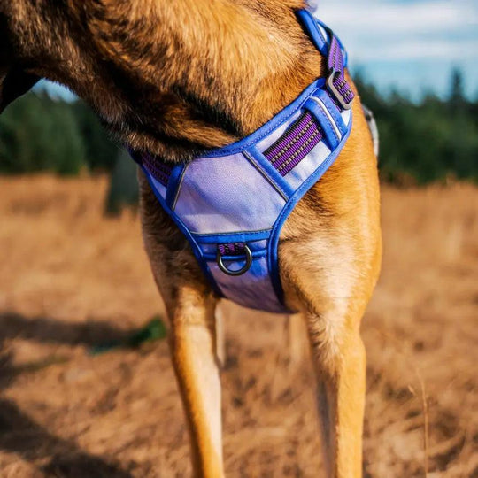 COMMANDER™ No-Pull Harness