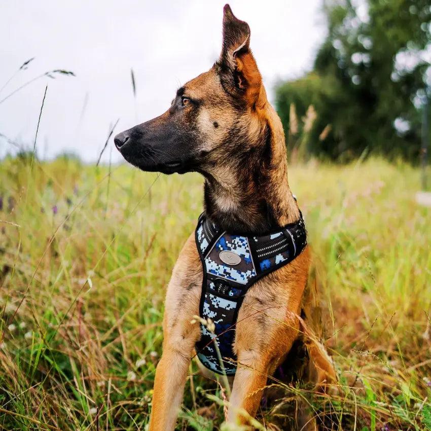 COMMANDER™ No-Pull Harness