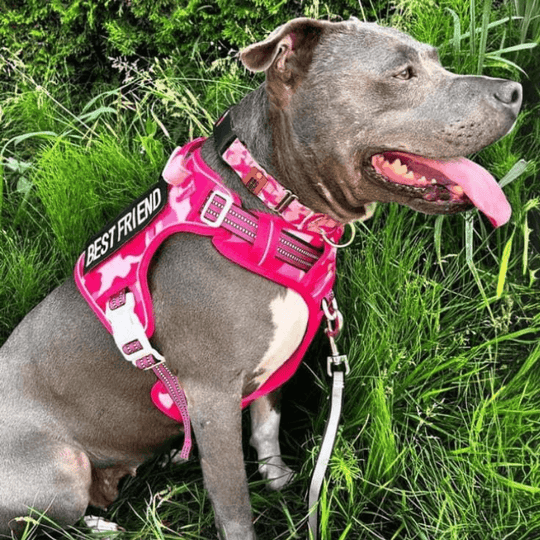 COMMANDER™ No-Pull Harness