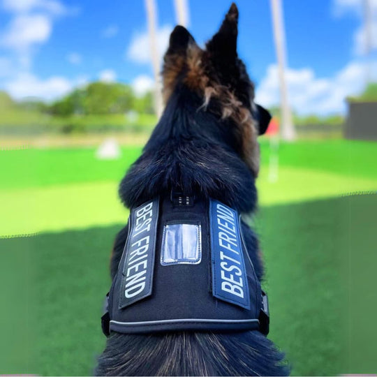 COMMANDER™ No-Pull Harness