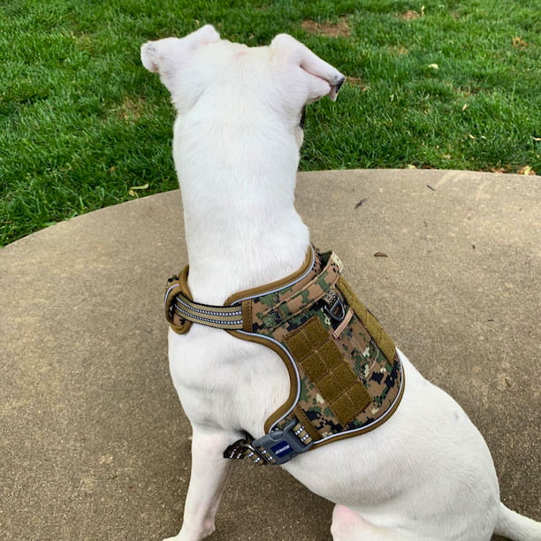 COMMANDER™ Harness