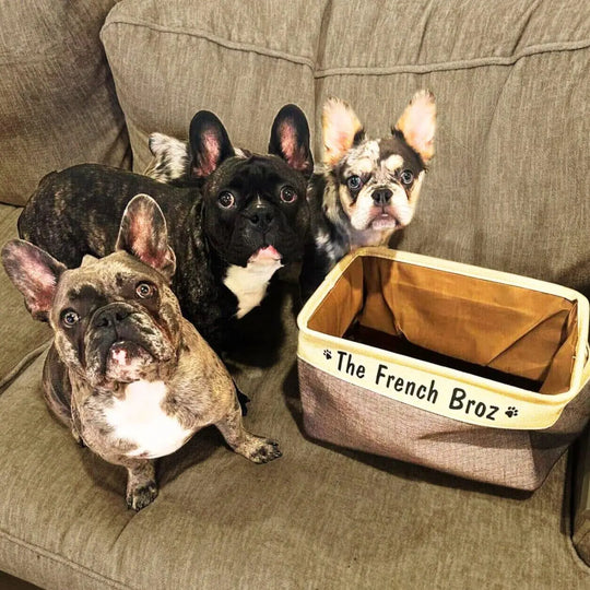 Personalized Dog Toy Box 0 One Paw Dog Company