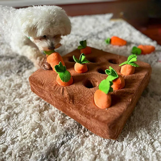 Carrot Farm Snuffle Mat 0 BonaceBoutique