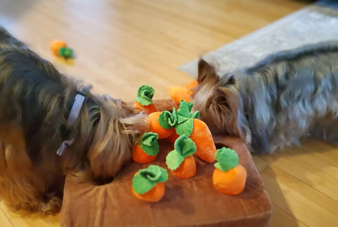 Carrot Farm Snuffle Mat 0 BonaceBoutique