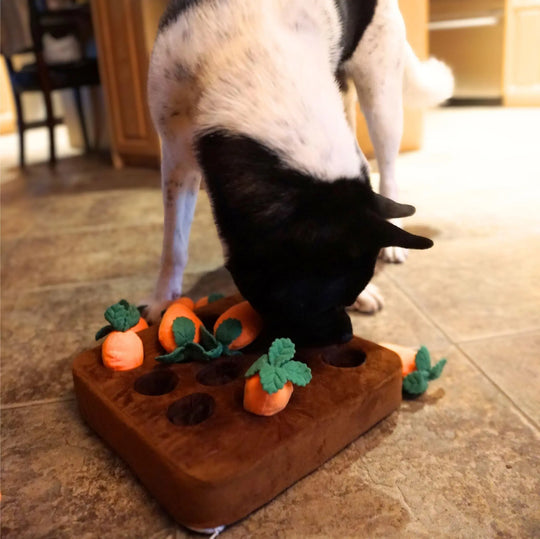 Carrot Snuffle Mat 0 BonaceBoutique