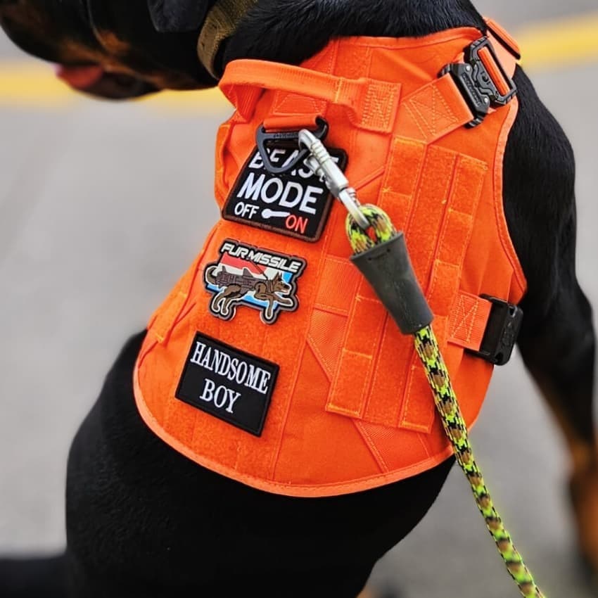 RECON™ Harness & Tactical Set