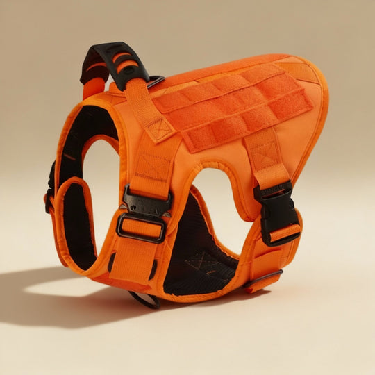 RECON™ Harness & Tactical Set