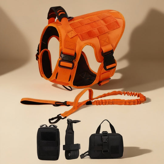 RECON™ Harness & Tactical Set