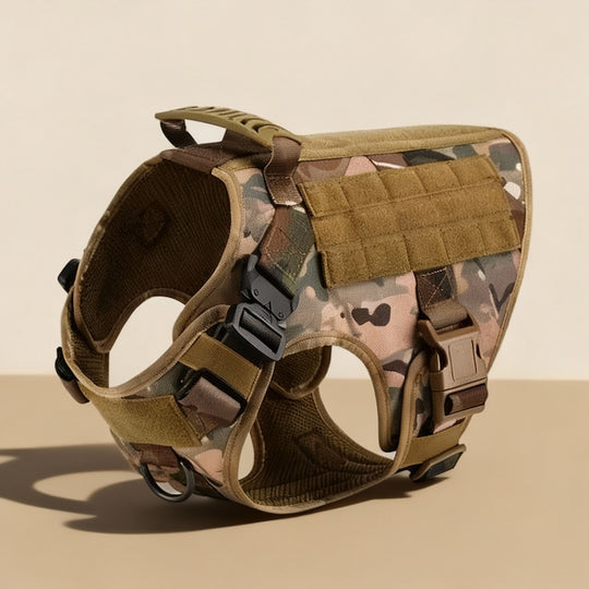 RECON™ Harness & Tactical Set