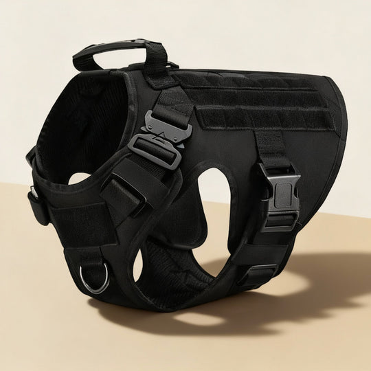 RECON™ Harness & Tactical Set