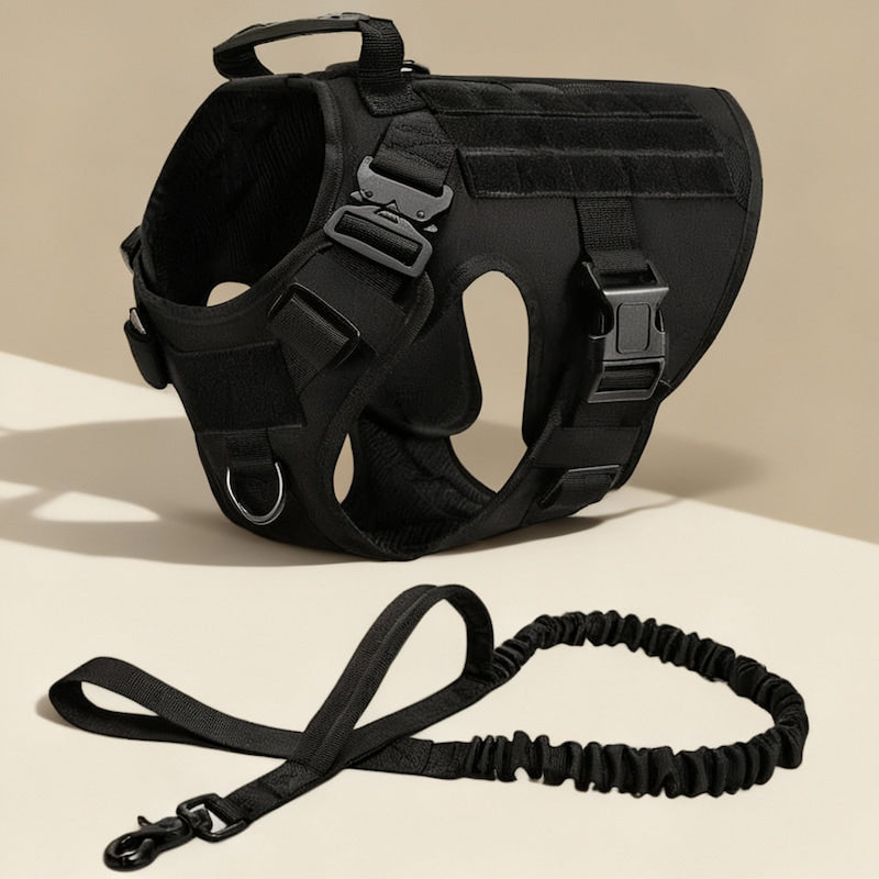 RECON™ Harness & Tactical Set