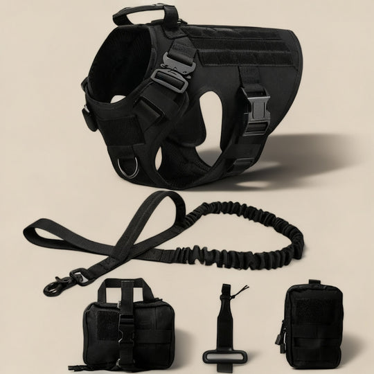 RECON™ Harness & Tactical Set