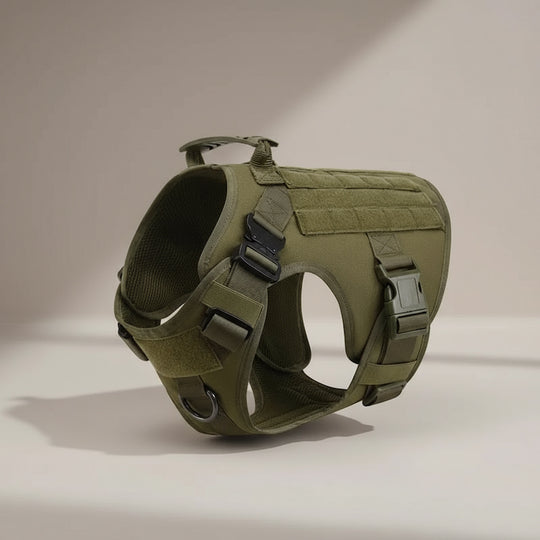 RECON™ Harness & Tactical Set