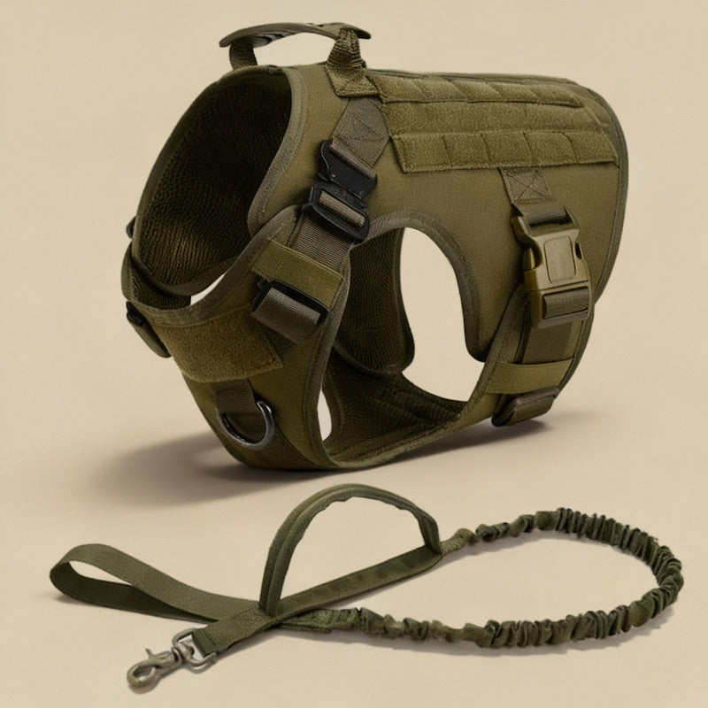 RECON™ Harness & Tactical Set
