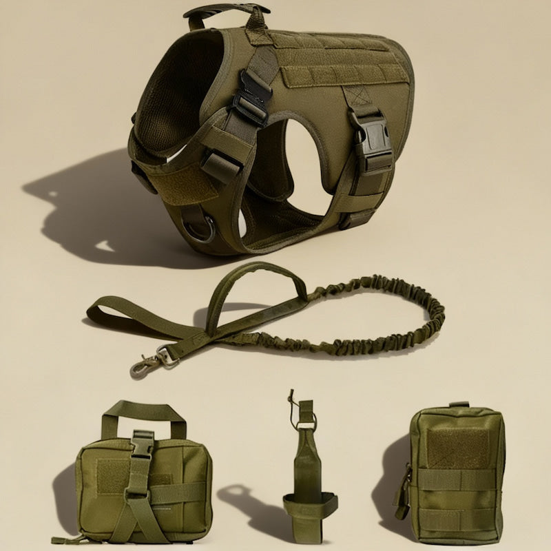 RECON™ Harness & Tactical Set