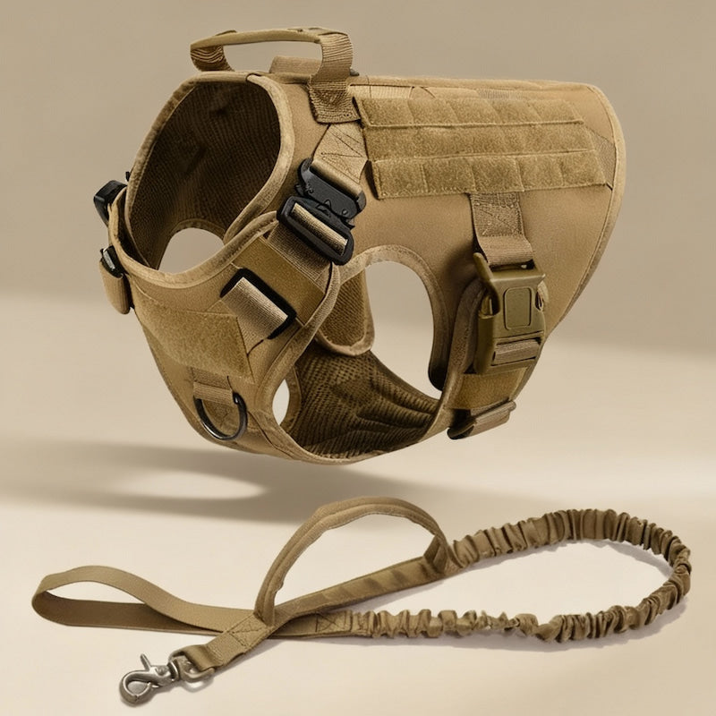 RECON™ Harness & Tactical Set