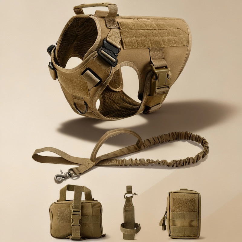 RECON™ Harness & Tactical Set