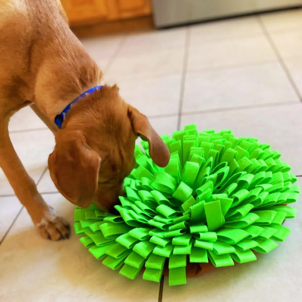 Grassland Snuffle Mat & Bowl One Paw Dog Company