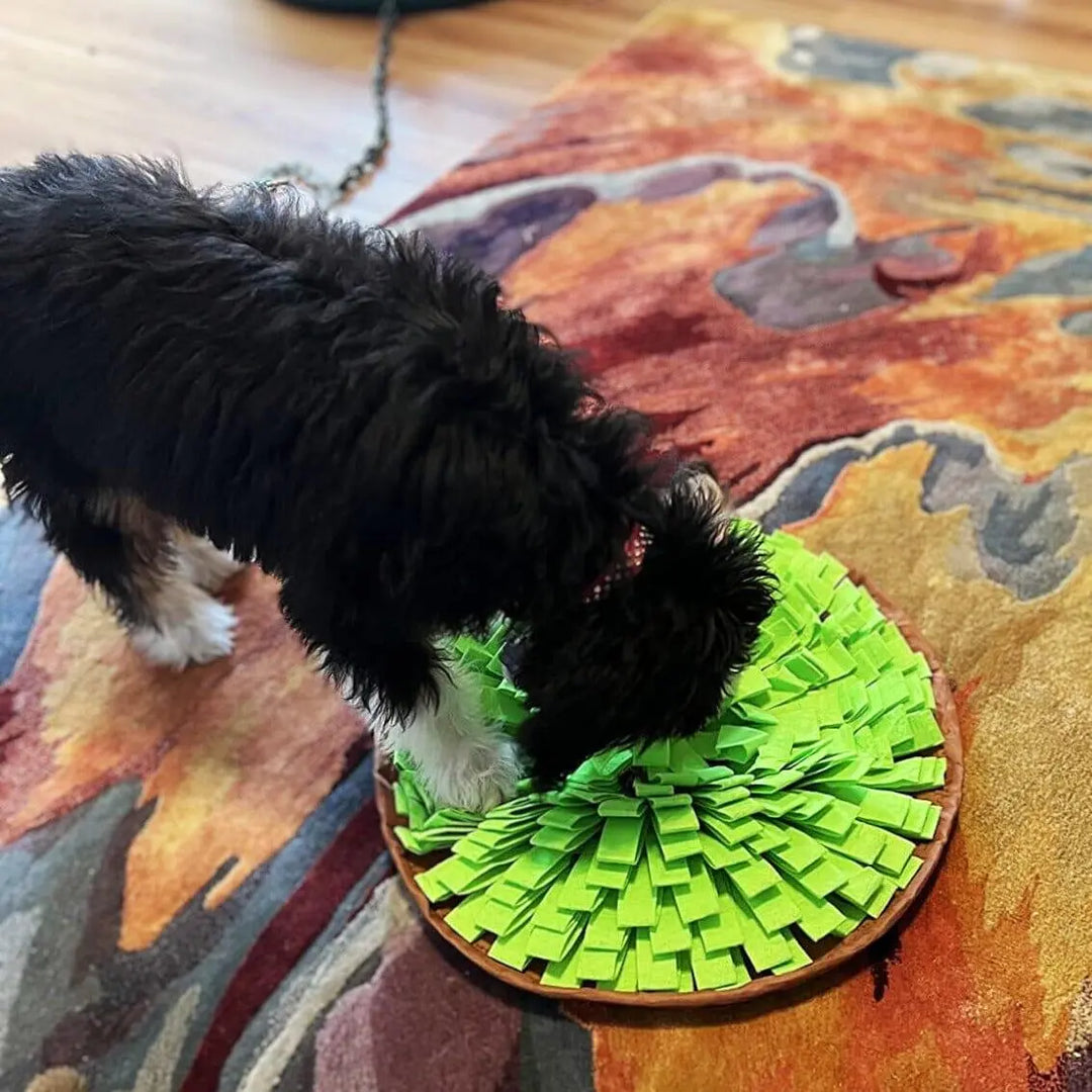 Grassland Snuffle Mat & Bowl One Paw Dog Company