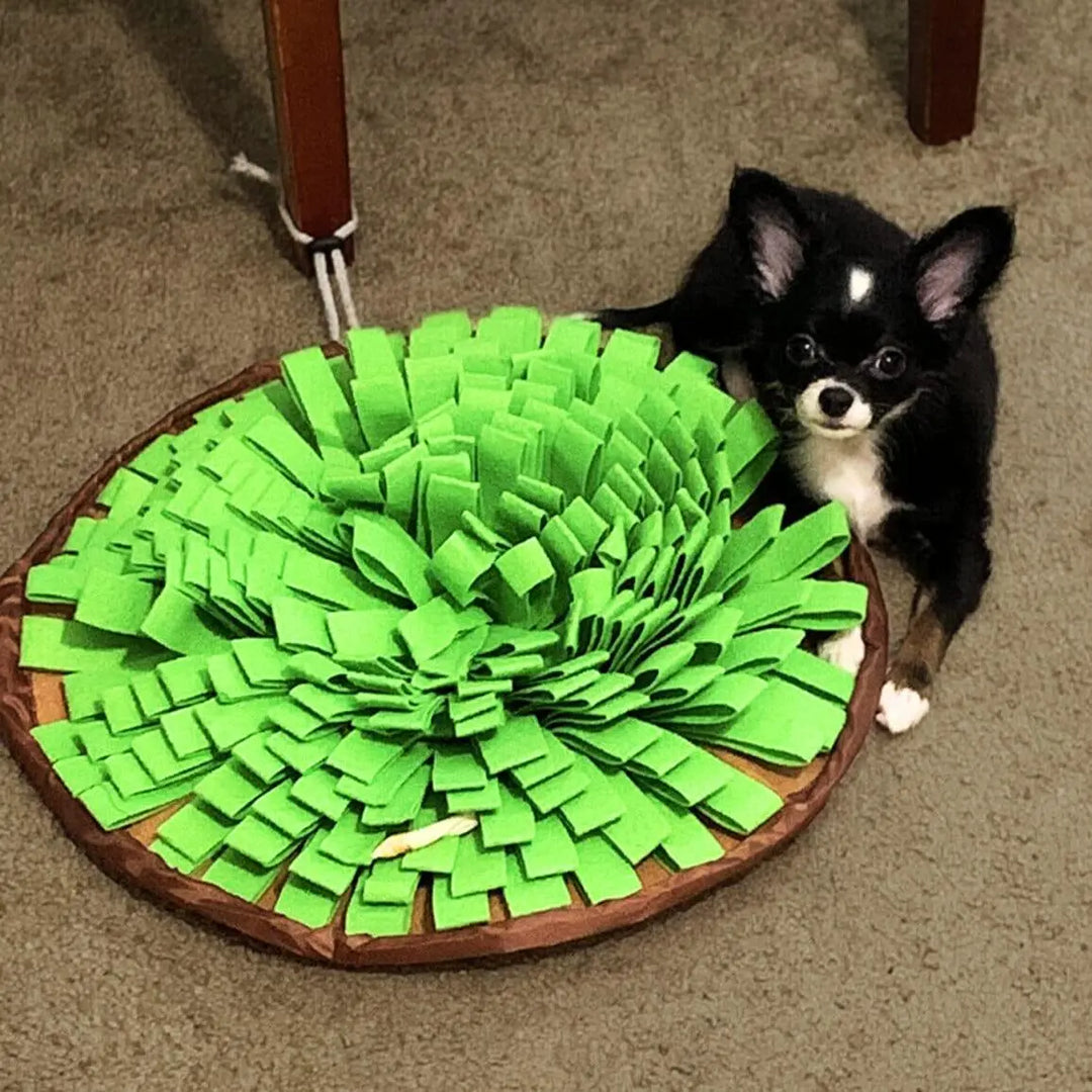 Grassland Snuffle Mat & Bowl One Paw Dog Company