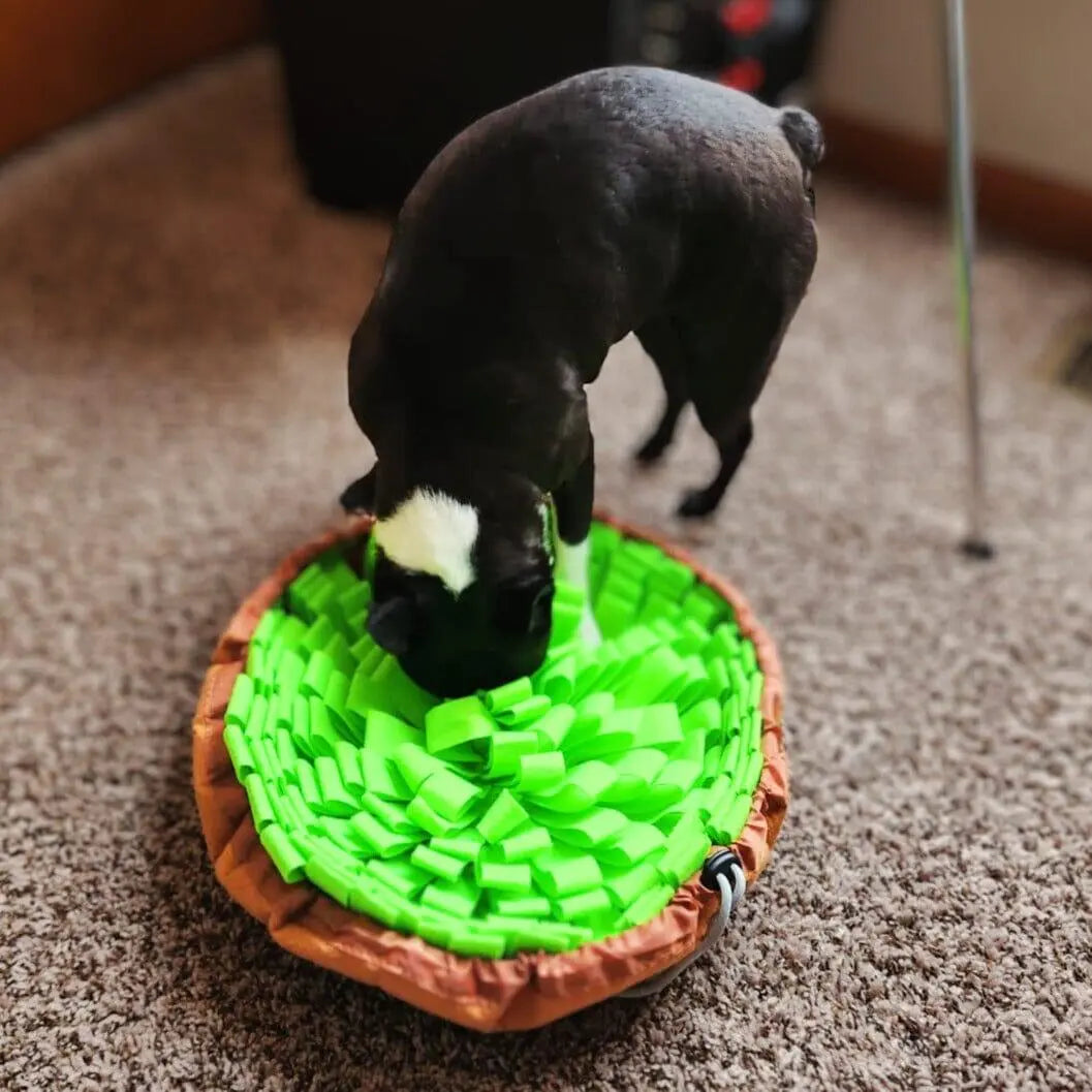 Grassland Snuffle Mat & Bowl One Paw Dog Company
