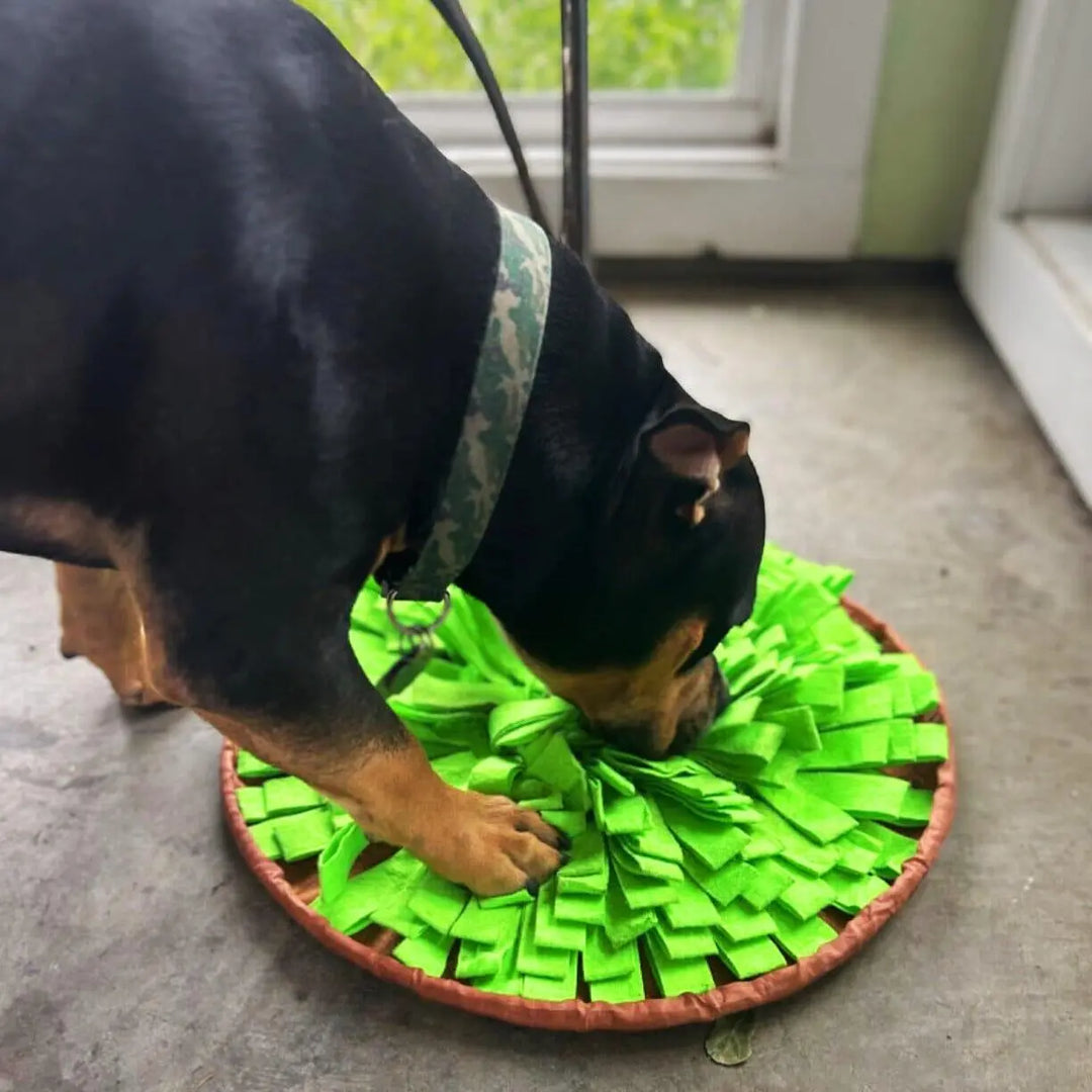 Grassland Snuffle Mat & Bowl One Paw Dog Company