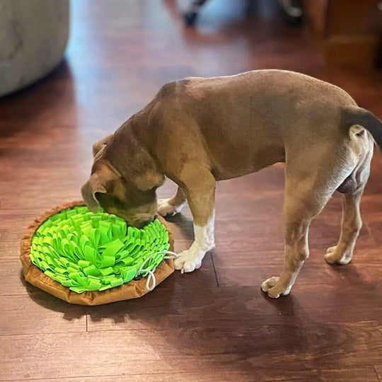 Grassland Snuffle Mat & Bowl One Paw Dog Company