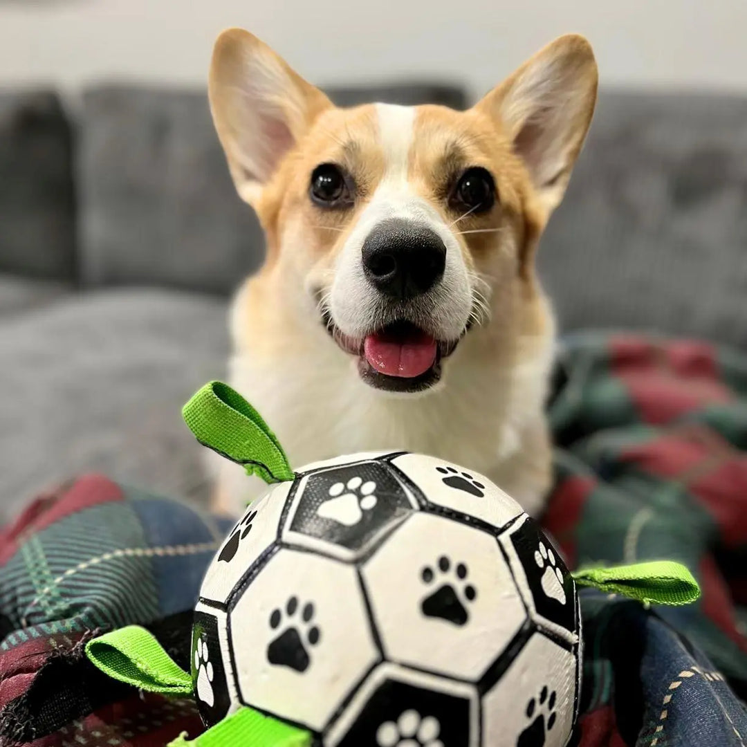 OnePaw Grab Tab Soccer Ball 0 BonaceBoutique
