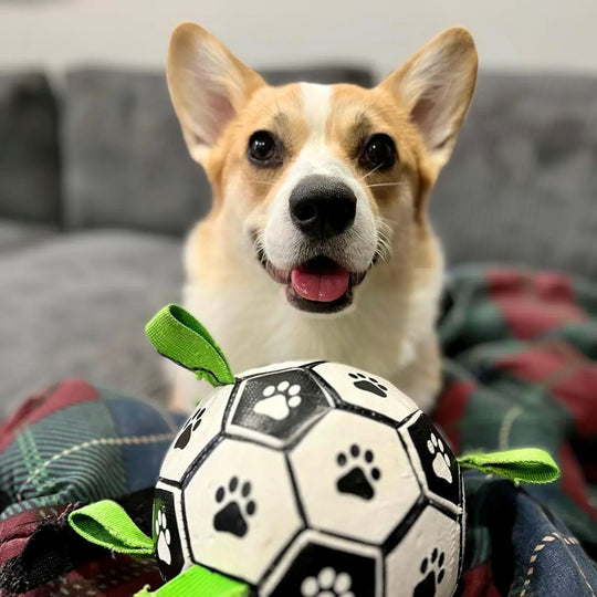 OnePaw Grab Tab Soccer Ball 0 BonaceBoutique