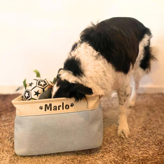 Personalized Dog Toy Box 0 BonaceBoutique