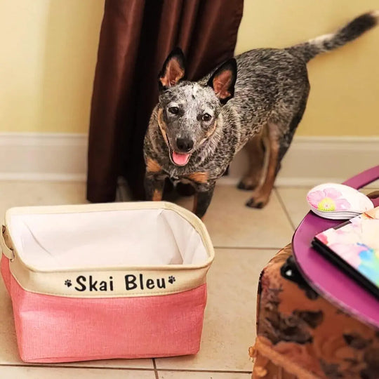 Personalized Dog Toy Box 0 BonaceBoutique