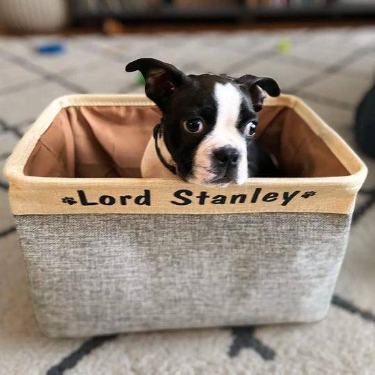 Personalized Dog Toy Box 0 One Paw Dog Company