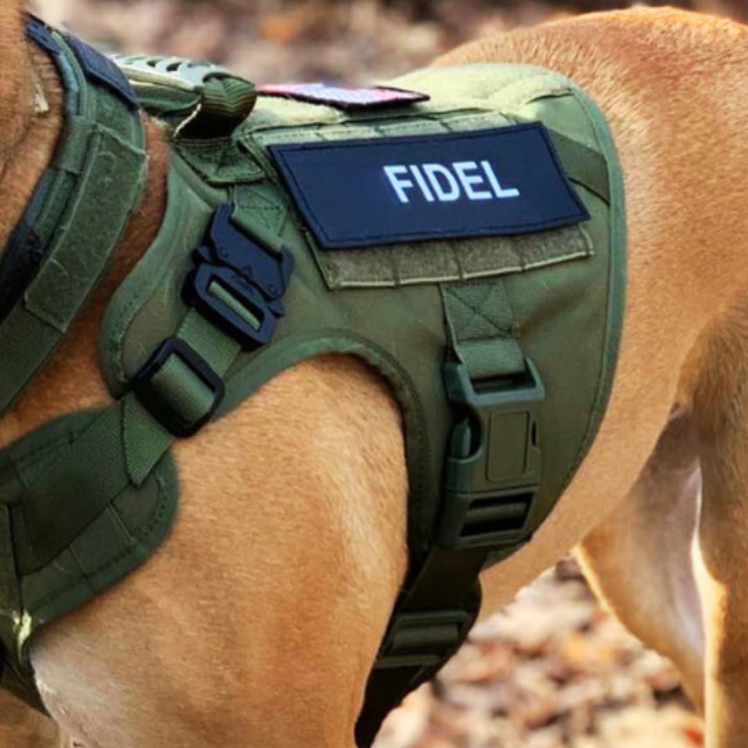 RECON™ Harness & Tactical Set