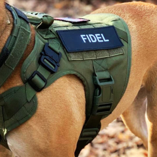 RECON™ Harness & Tactical Set